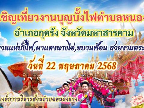 ขอเชิญเที่ยวงานบุญบั้งไฟตำบลหนองแวง